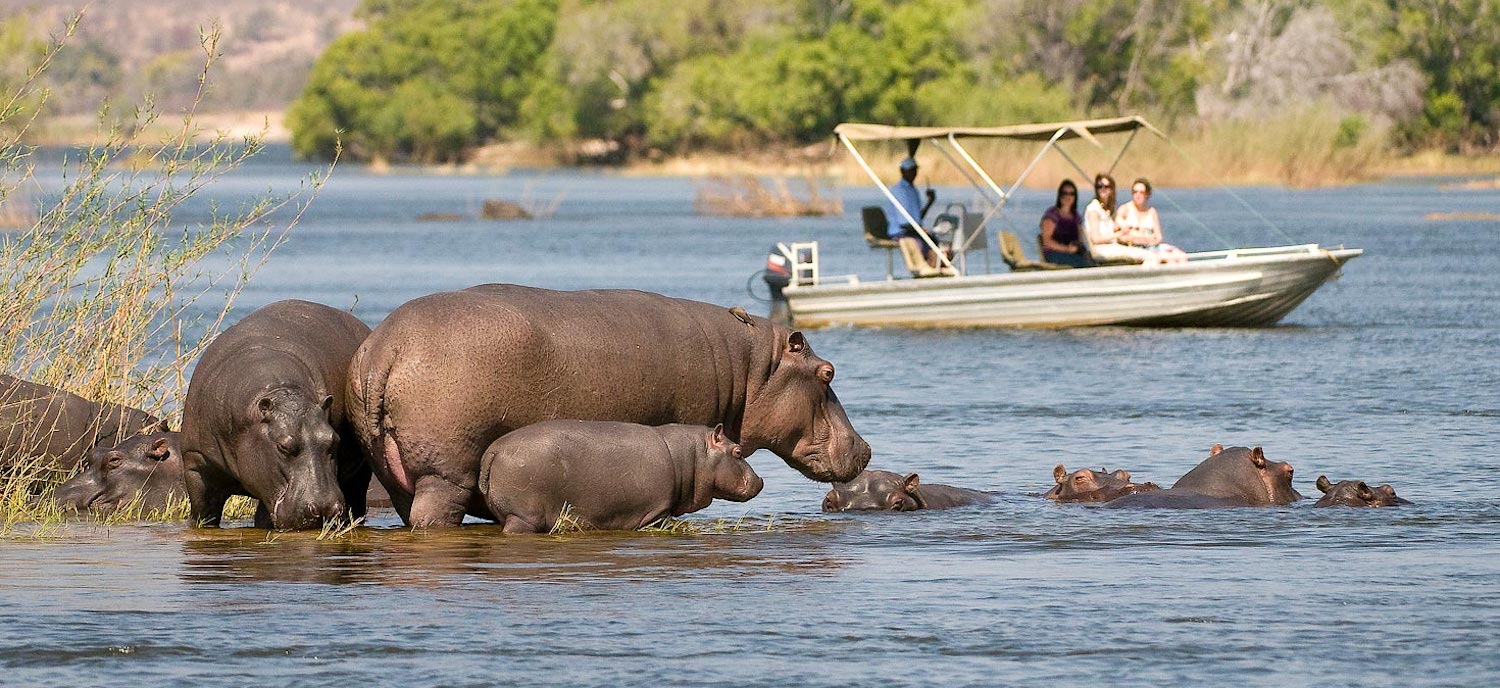 About Zambia Safari Tours